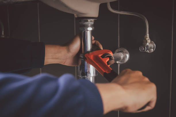 Best Clogged Drain Plumber  in Chestnut Ridge, NY